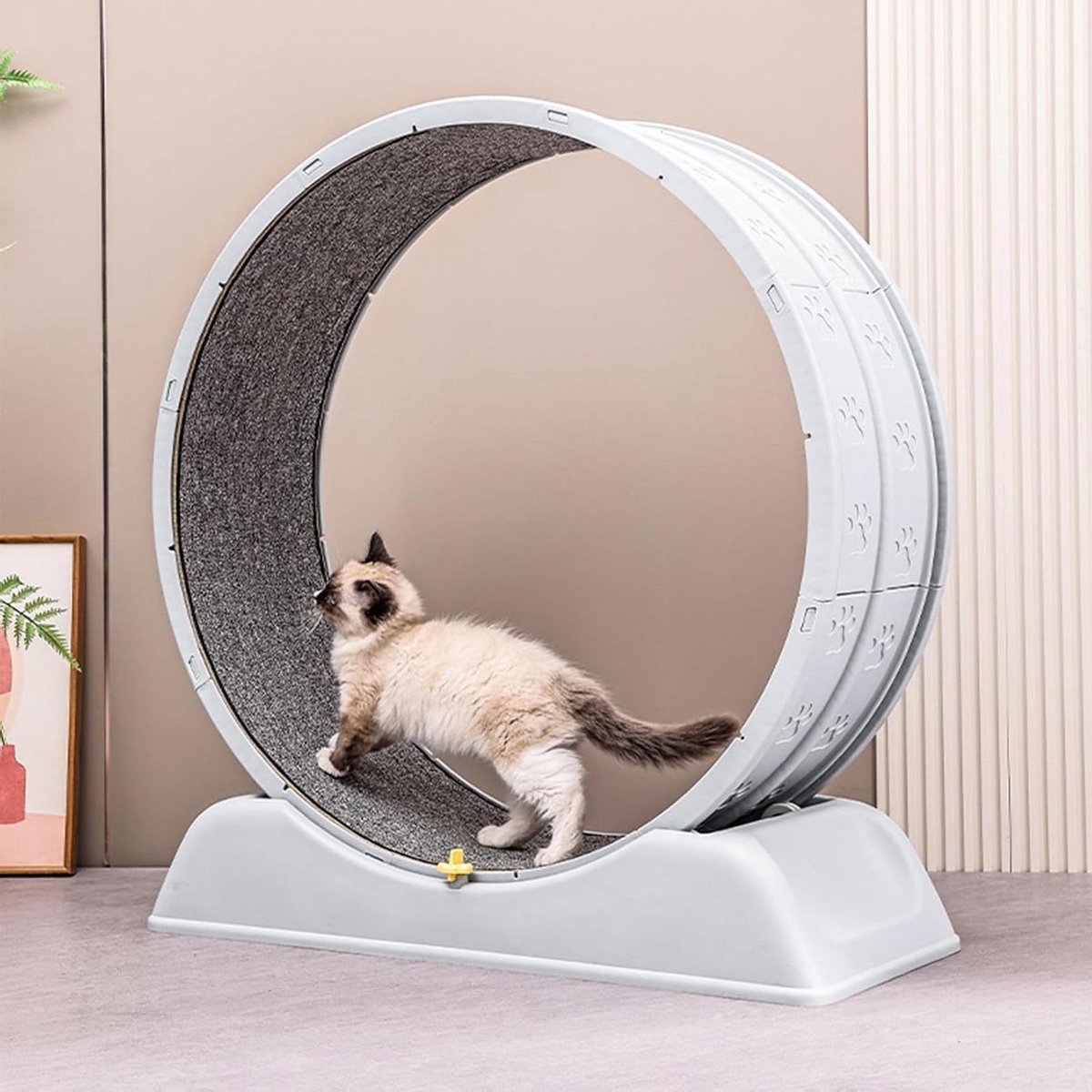 Kattenloopwiel - Oefenwiel Kat - Binnen Beweging - Veilig Remmechanisme - 80 cm Diameter - Blauw