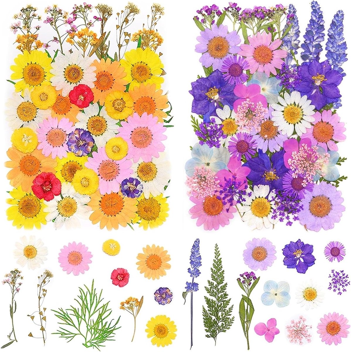 Natuurlijke Gedroogde Bloemen Set van 81 Stuks voor Resin, Kaarsen, Sieraden en Scrapbooking Decoraties