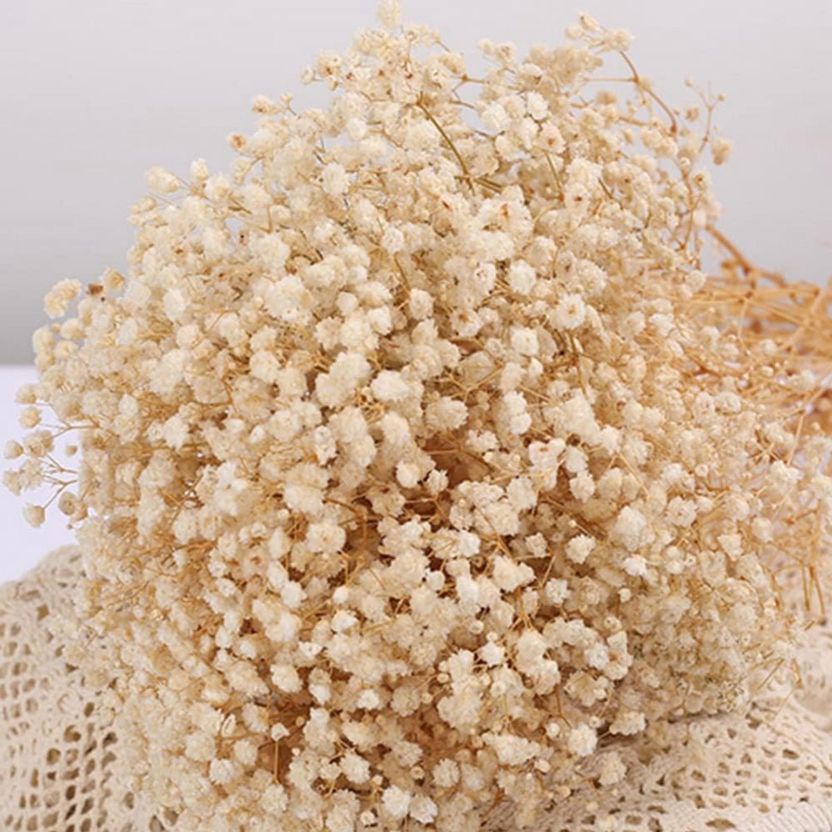 SnelShoppen - Baby's Breath Boeket - Droogbloemen - 17 Inch - 2000+ Ivoor Witte Bloemen - Natuurlijke Gypsophila Takken voor Bruiloft, Tafelvaas Decor