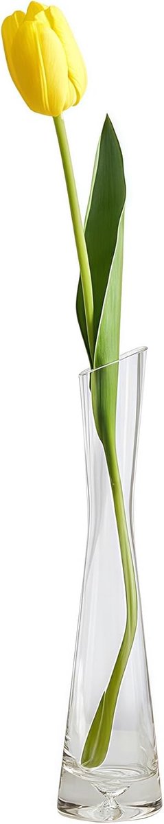 SnelShoppen - 20cm Glas Bud Vase met Smalle Hals, Kleine Bloemenvase voor Thuisdecoratie, Kantoor, Centrale Bloem Arrangement, Bruiloft Tafel Decorati