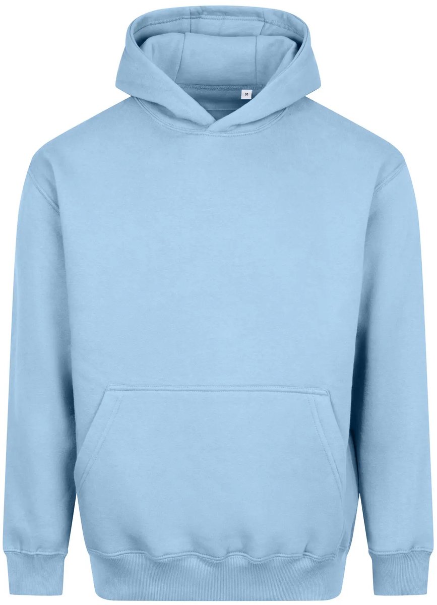 Dikke Hoodie Just Hoods Vision Ijsblauw