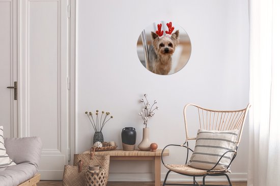 WallCircle - Wandcirkel - Muurcirkel - Yorkshire met een kerst accessoire - Aluminium - Dibond - 30x30 cm - Binnen en Buiten