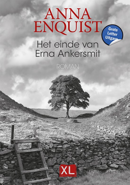 Het einde van Erna Ankersmit - Grote Letter Uitgave