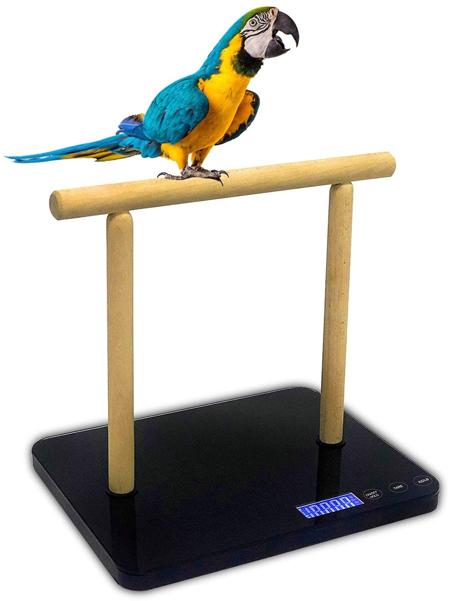 SnelShoppen - Vogelweegschaal voor Ara en Papegaai, Gramprecisie tot ± 1 g, Zwart, Geschikt voor Alle Soorten Vogels, Perfect voor Thuis en Dierenarts