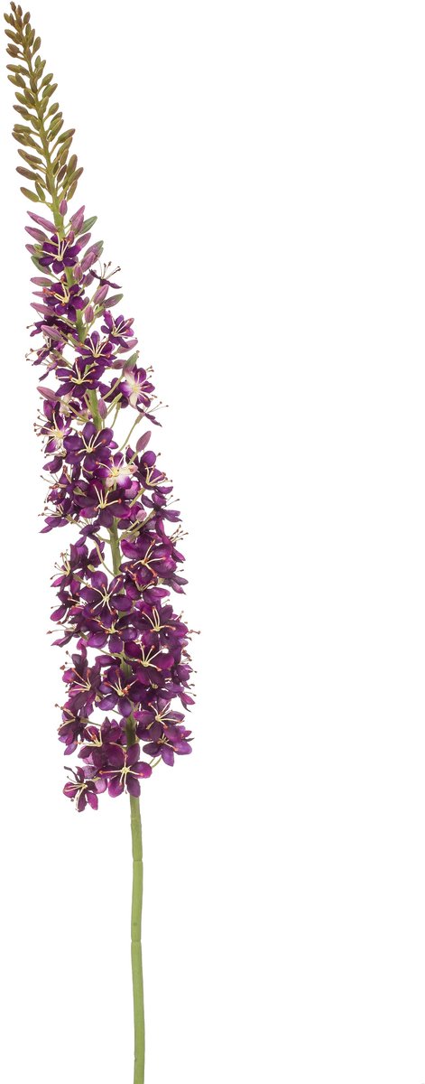 Emerald Kunstbloem Eremurus XL 130cm paars - Kunstplant voor binnen
