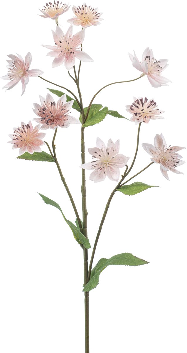Emerald Kunstbloem Astrantia lichtroze 70cm - Kunstplant voor binnen