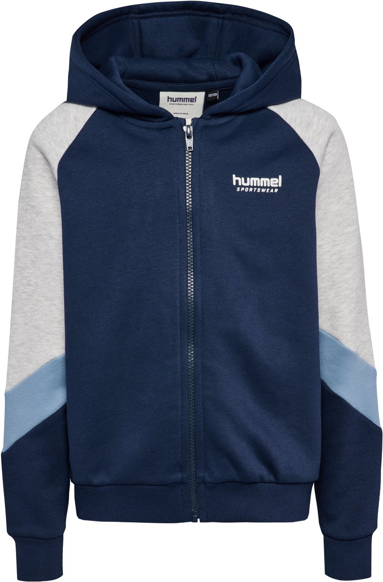 Hmljr Loose Blocked Zip Hoodie