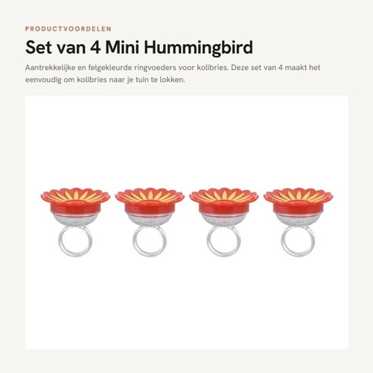 Kolibrievoeder 4-delig - Handheld Voeder - Compact - Multifunctioneel - Plastic - Aantrekkelijk voor Kolibries - Vogelfeeder