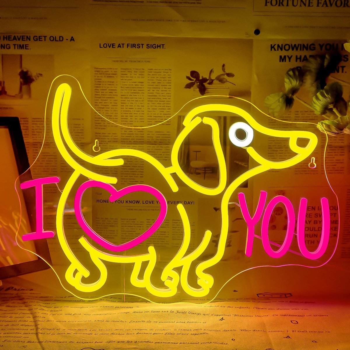 SnelShoppen - Ineonlife Love Neon Sign - Dimbare Teckel Lichten - I Love You Kunst - USB-Cadeaus voor Katten en Honden - Perfect voor Valentijnsdag en