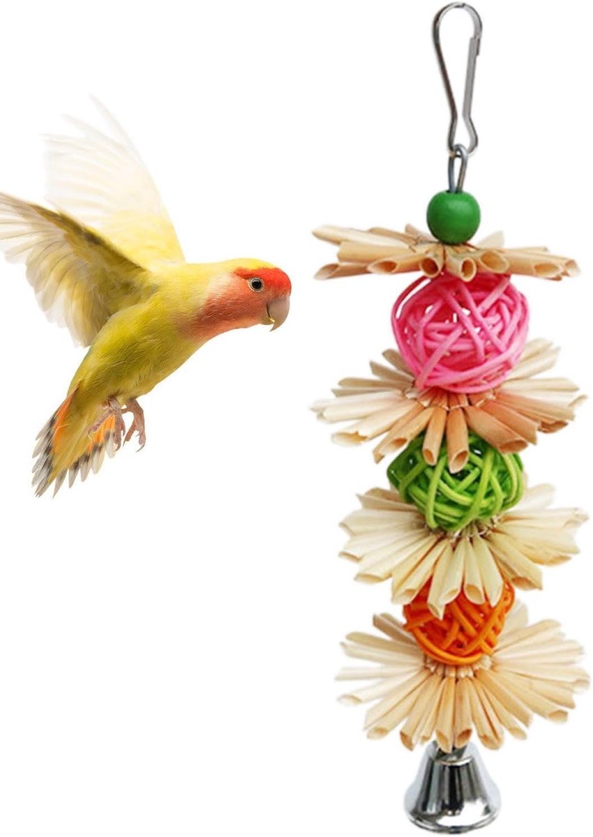 Vogel Speelgoed - Kauwspeeltje Papegaai - Snavel Gezondheid - Natuurlijk Materiaal - 17 cm - Kleurrijk