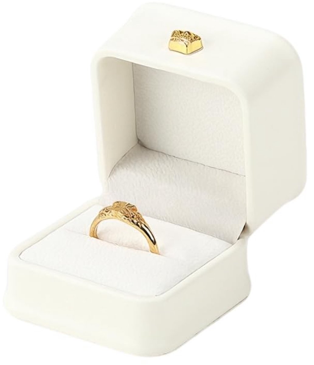 Dailygoods- Ringenbox Hoogwaardige PU Lederen - Sieradendoos - Cadeaubox - Sieradenopslag - Verlovingsring - Lichtgewicht en Compact - Sieradenbox