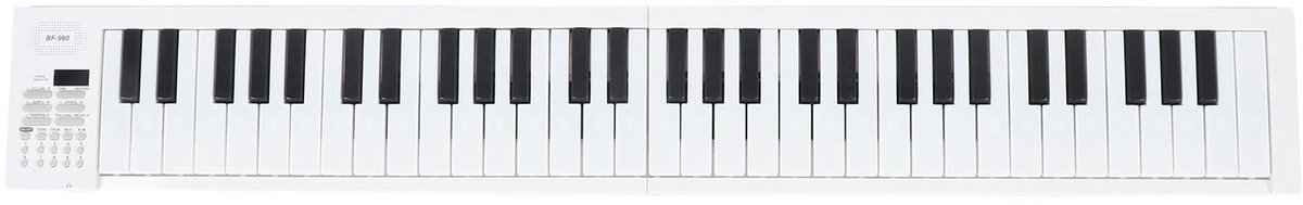 Dailygoods- Opvouwbare Piano 61 Toetsen - Draagbaar Toetsenbord - Elektrische Muziek - Professionele Opnamefunctie - 100 Ritmes - Stevig Ontwerp