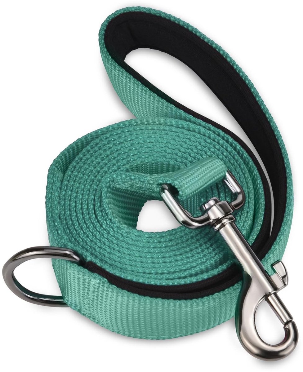Dailygoods - AUDWUD Hondenriem met zacht gevoerd handvat, verlicht handdruk; Draagbaar, sterk, sterk met grote treksterkte, geschikt voor kleine en middelgrote hondenwandelriem