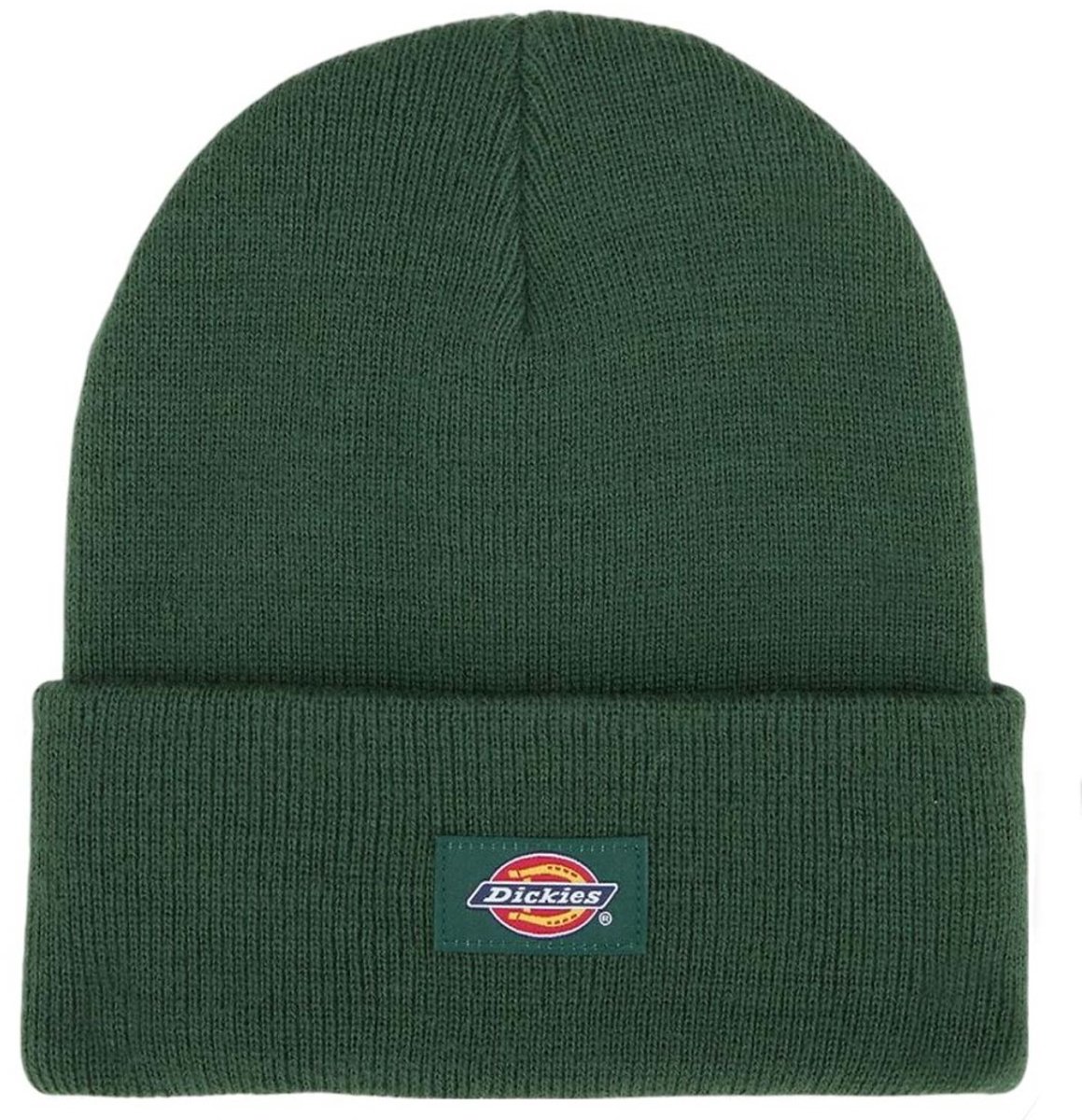 Dickies Gibsland Junior Muts Groen Man