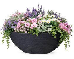 Pro Garden Plantenpot/bloempot ovaal schaal Sylt - buiten - stevig kunststof - antraciet - D51 x H20 cm