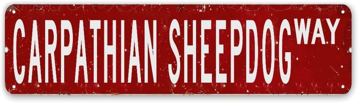 Gepersonaliseerd Naambord - Huisnummerbord Metaal - Huis Decoratie - Aanpasbare Tekst - 30 x 76 cm - Stijl-17