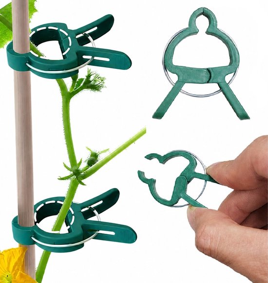 Groene plantenklem om een stengel aan een stok te bevestigen.