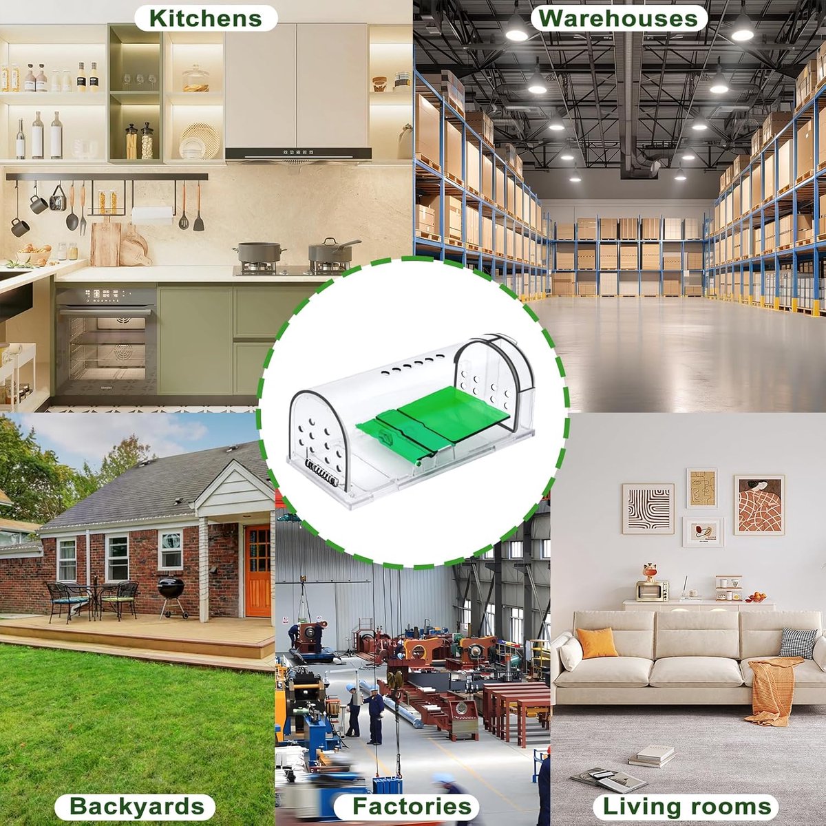Ryoudavell - Transparante Muizenval Kooi Set van 2 - Diervriendelijke Levende Muis Vanger - Gifvrije & Herbruikbare Kunststof Muizenval Klem Vrij - Voor Binnen en Buiten