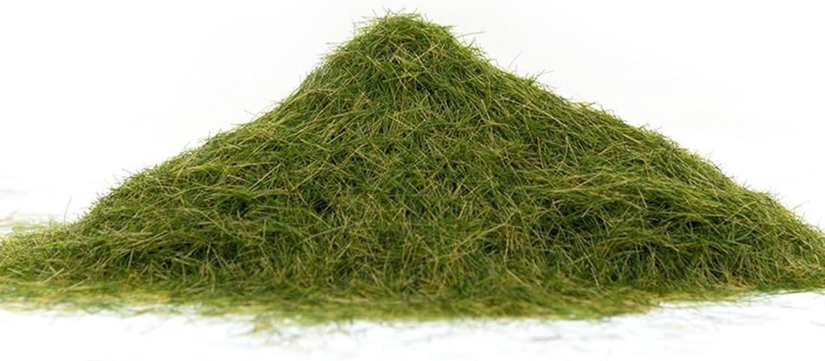 Natuurlijke kunstgras poeder voor modelbouw, 30g zak, ideaal voor wintergroene grasland en spoorwegbaan decoratie