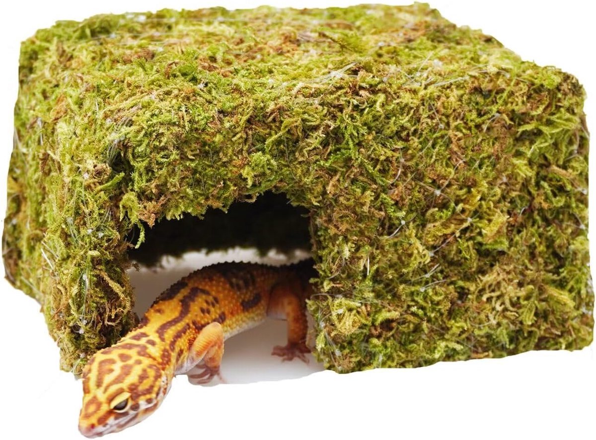 Gecko Tank Accessoires, Leuke Reptile Hideout Cave, Essentiële Tank Terrarium Habitat Decor, Verstelbare Speelgoed Levert