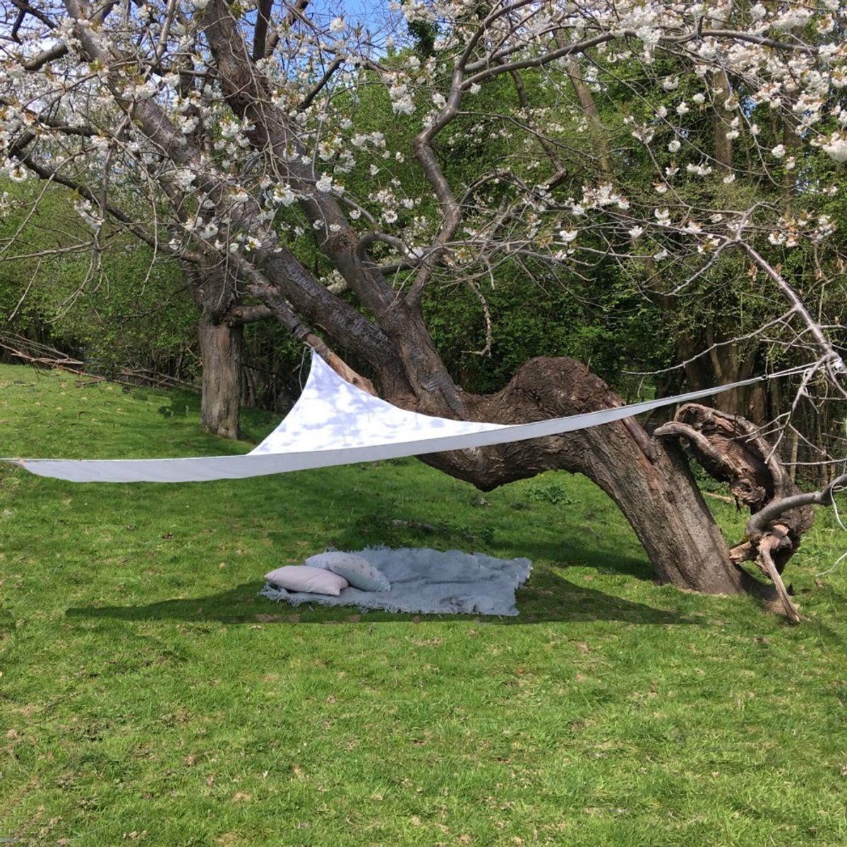 Omgoods - Clara Shade Sails Driehoekschaduwzeil 2m - Wit, UV-Bestendig en Waterdicht