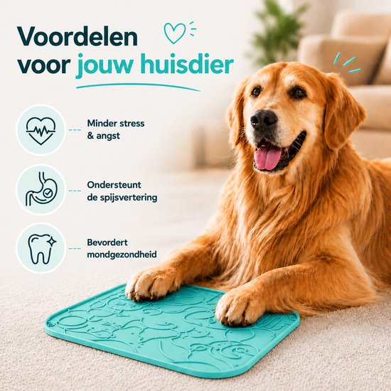 Golden retriever hond ligt op een turkooisblauwe likmat met kattenpatroon.