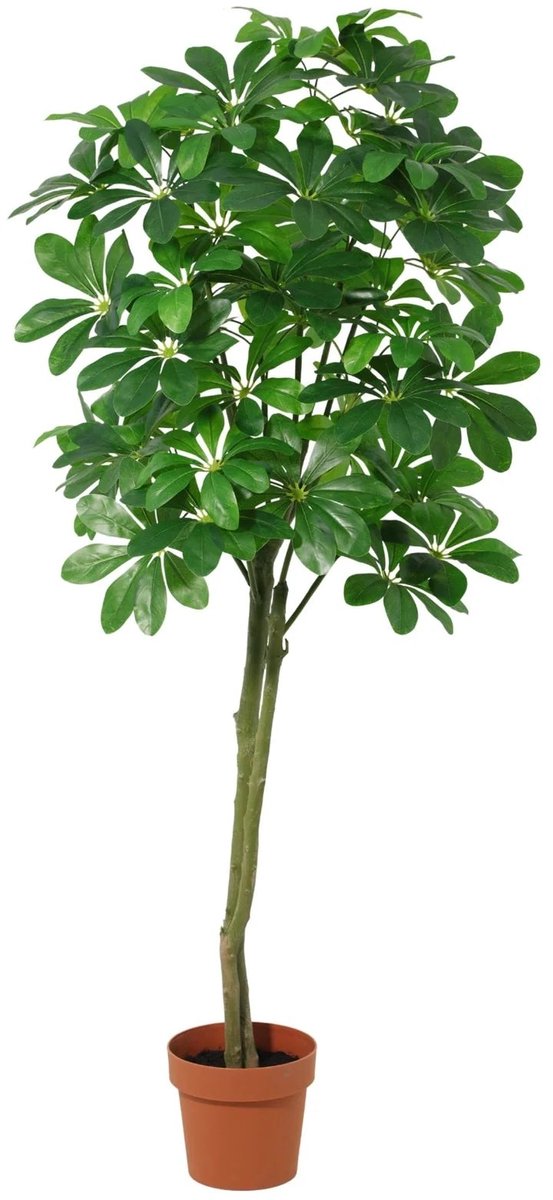Trendyplants - Kunst Pachira Aquatica - Geldboom - Kunstplant - Hoogte 150cm - Potmaat Ø20cm