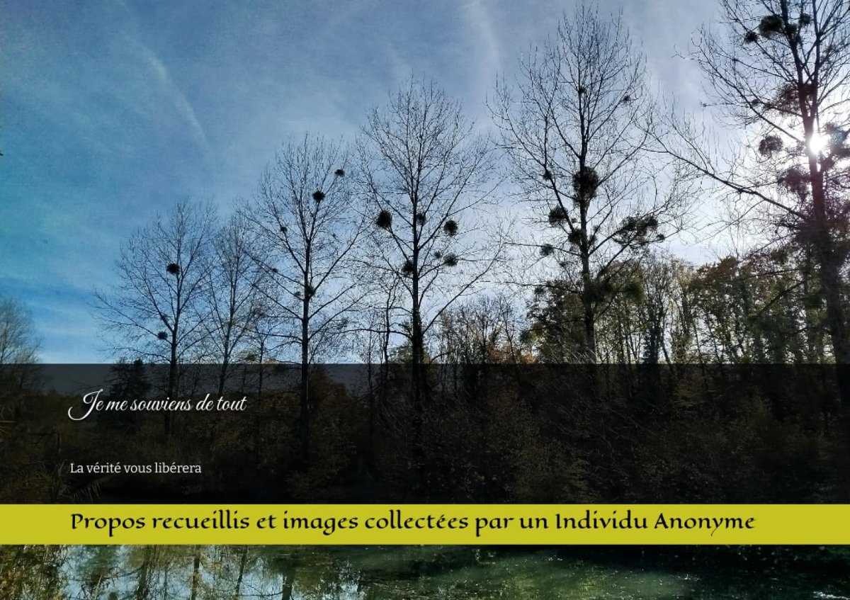 me souviens de tout: Le secret de la vie à Saint-Mihiel, rive gauche, numéro 3. Collection Lamelles d’airain