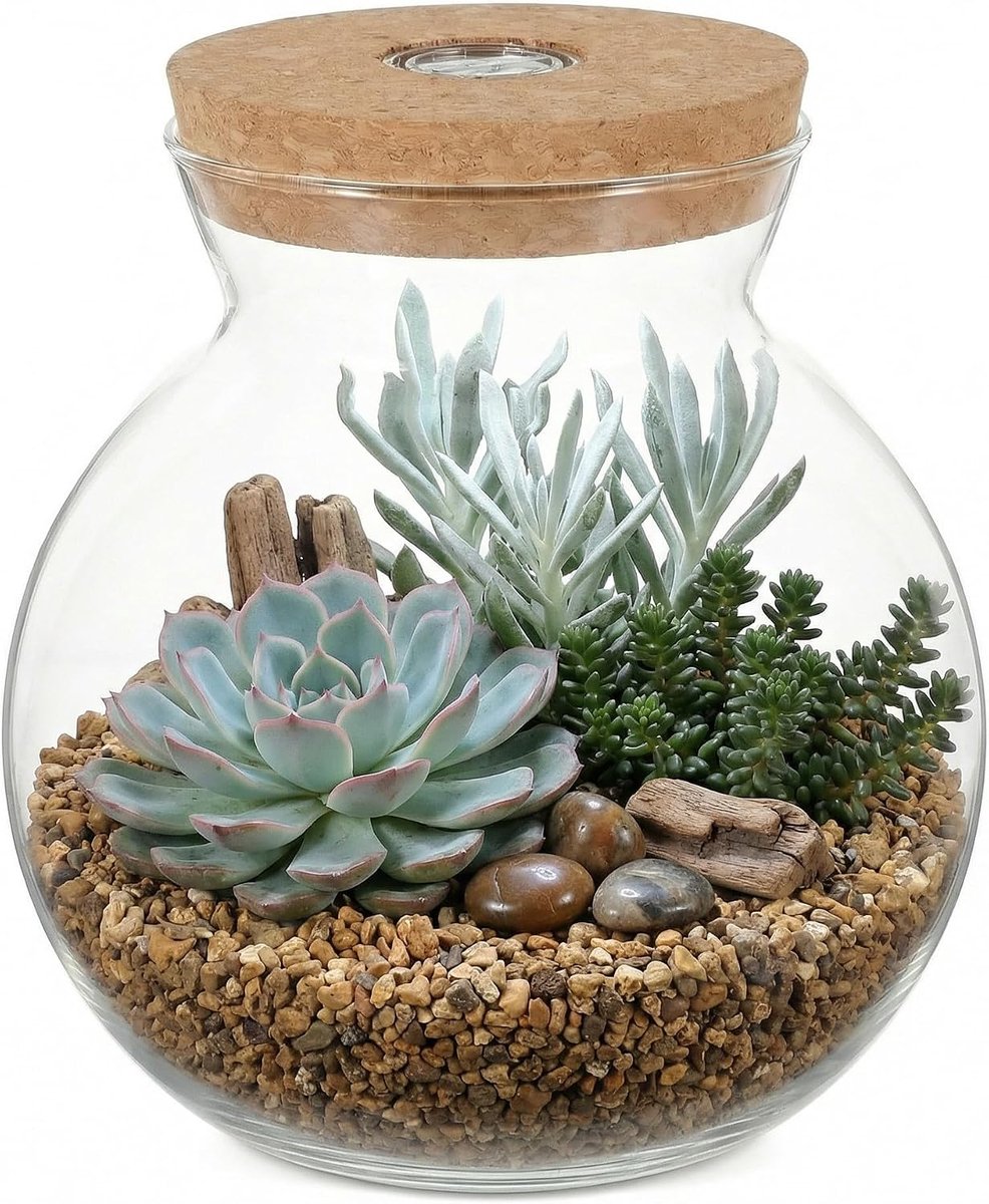 landschapsfles doorzichtige container kleine voorraadcontainer paddenstoel container led glazen met kurkdeksel micro landschapsvaas aquarium landschapsfles