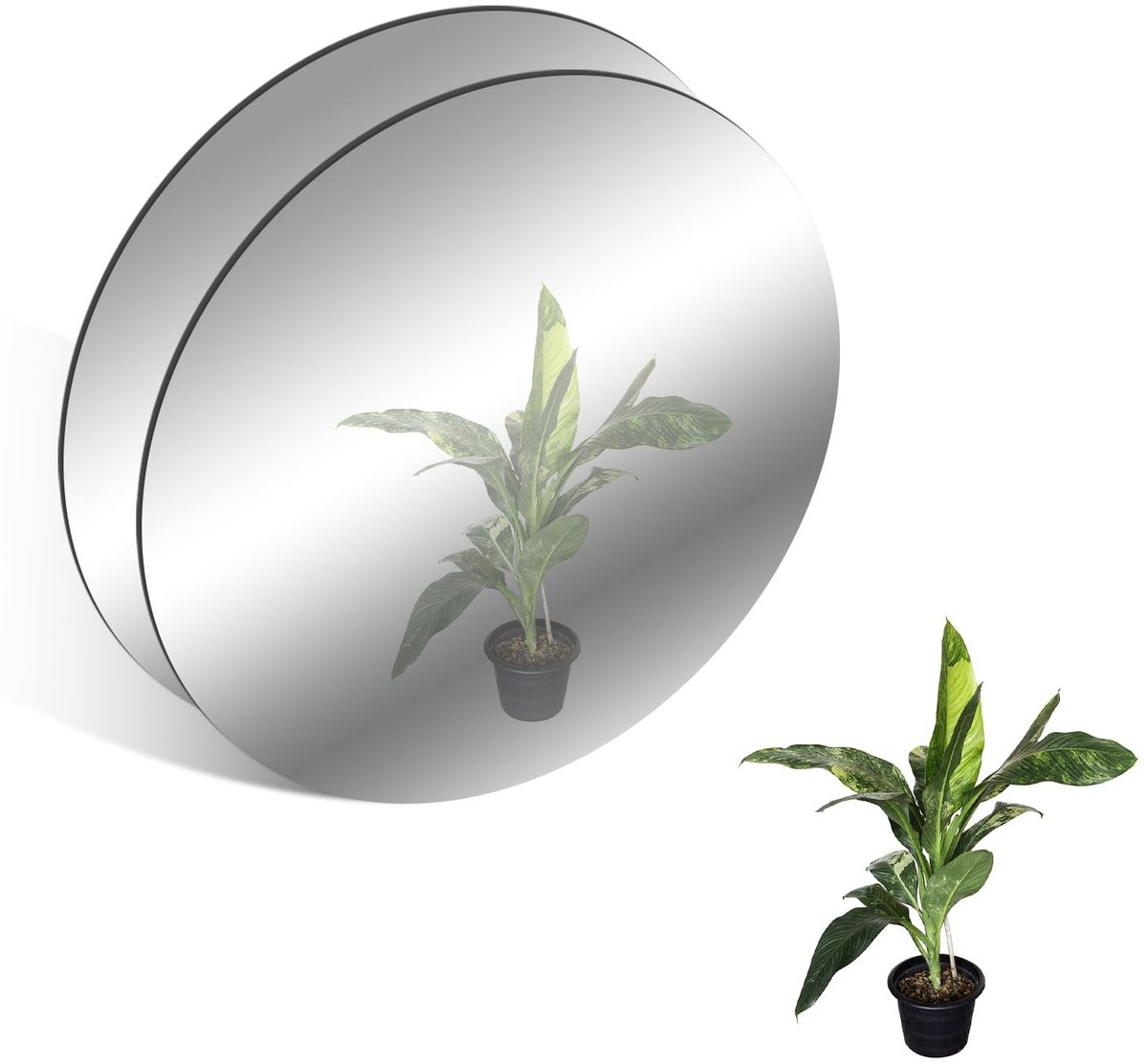 Omgoods - Set van 2 Ronde Acryl Spiegels - Wanddecoratie voor Thuis