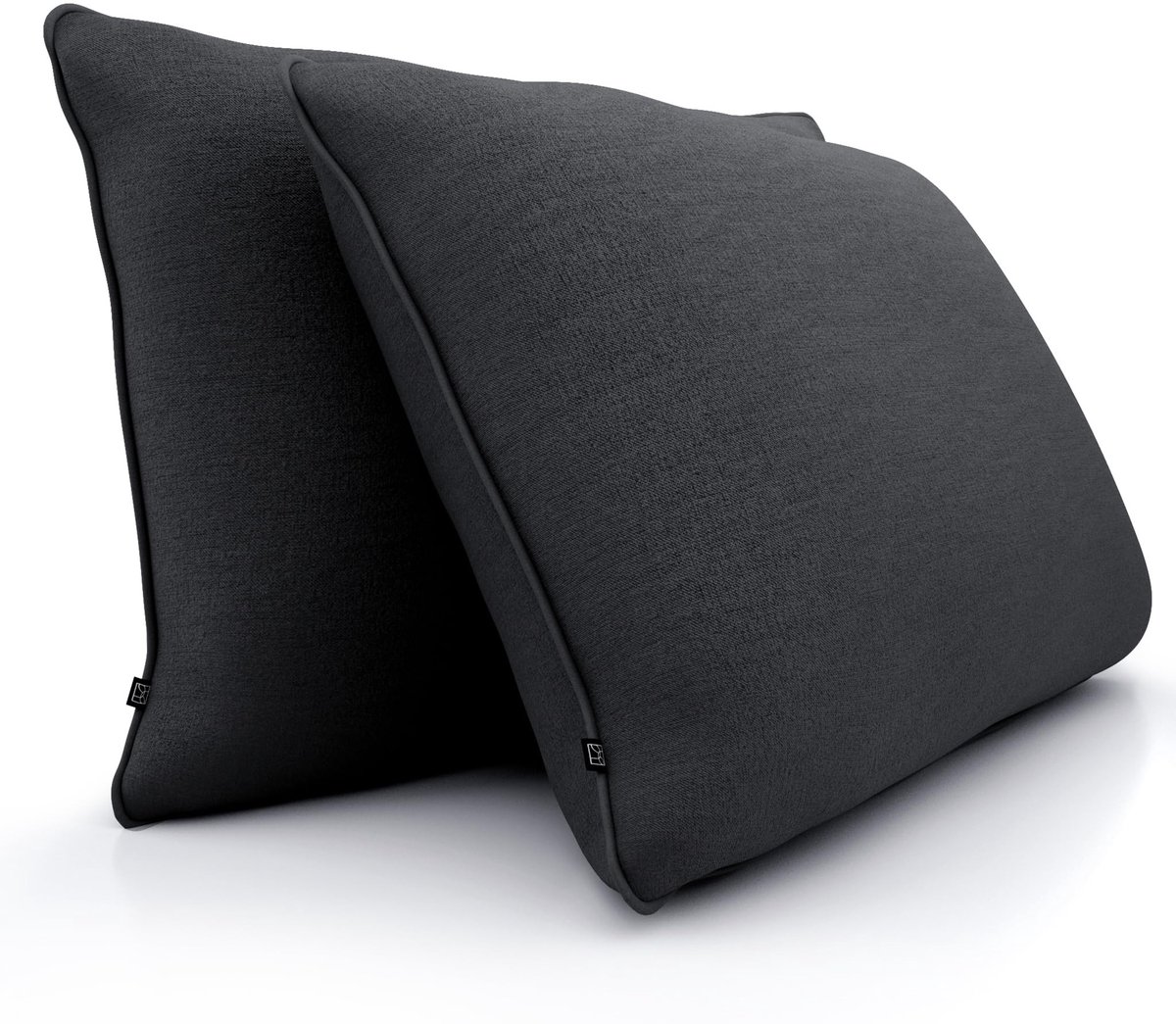 Omgoods - Set van 2 Decoratieve Kussens 40x60 cm - Zacht en Wasbaar