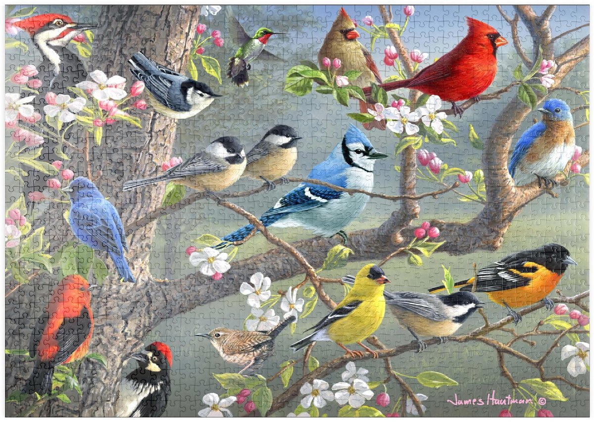 Omgoods - Kleurige Vogels in de Bloesemboom - Premium 1000 Stuk Puzzel