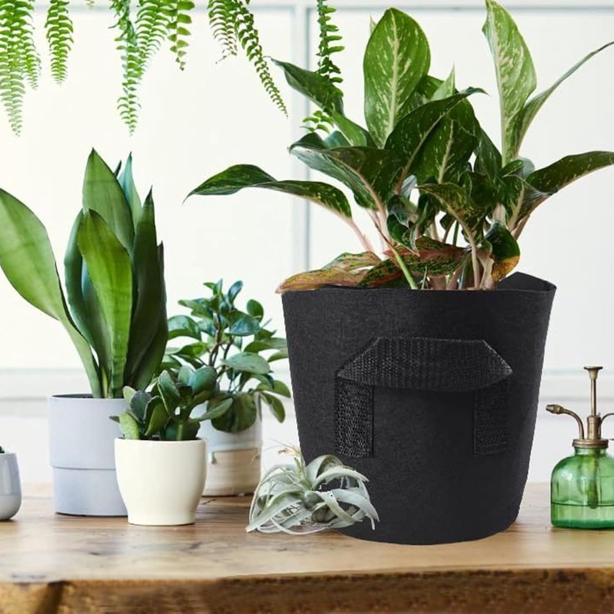Plantenmanden Vijver - Waterplant Potten - Planten Kweken - Drijvend Ontwerp - 6 stuks - Grijs