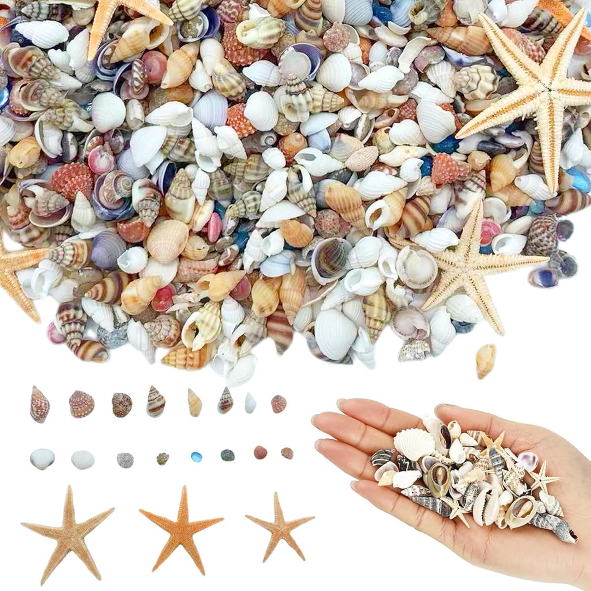 kleine natuurlijke zeesterren, losse schelpen voor doe-het-zelf, ideaal voor feestdecoraties, strandthema, vazenvulling, aquaria, knutselprojecten