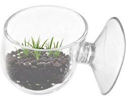 Voederbak Garnalen - Drijvend Bakje - Aquarium Voeren - Met Zuignap - 40x35x40 mm - Transparant
