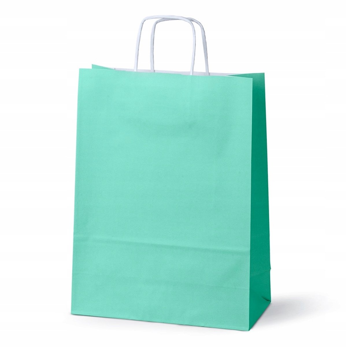 Papieren Cadeauzakjes Pastel Groen 24x10x32cm - Set van 50