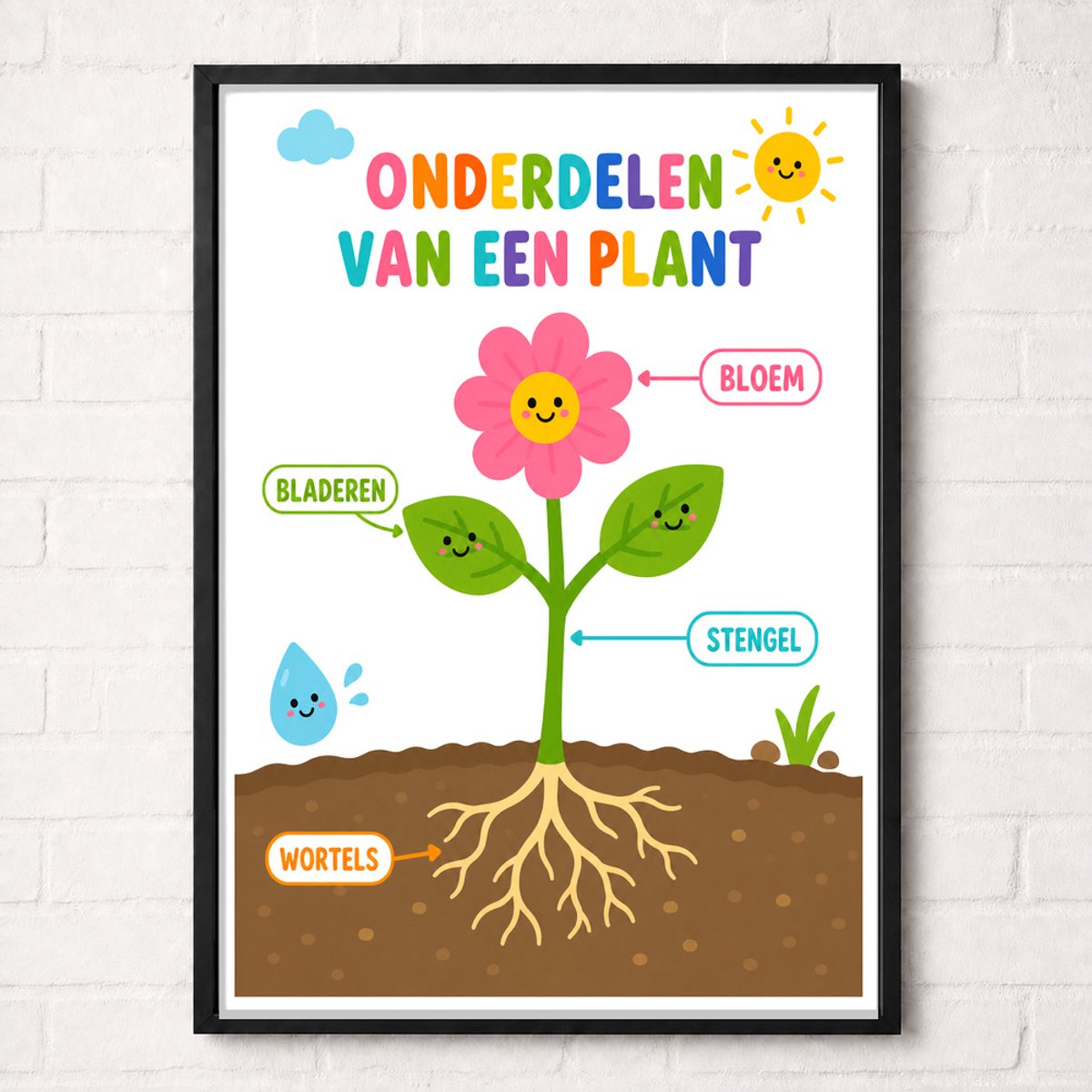 Onderdelen van een Plant Educatieve Poster voor Kinderen - Leren - groep 1 t/m 5 (4-9 jaar) - A2+ 43,2 x 61 cm
