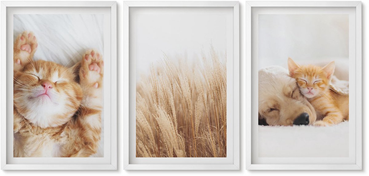 Wallfluent 3-Delige Schilderij Set - Schattige Dieren: Katten, Honden, Zacht Gras, Boho-Stijl. - 40 x 60 - Wanddecoratie - Schilderijen Set - Kantoor - Stijlvolle Muurdecoratie