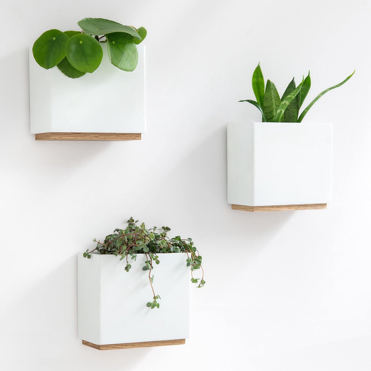 Famanu – Set van 3 moderne muurplanters Alma, hangende plantenpotten van hars, wit, voor kamerplanten en kunstplanten