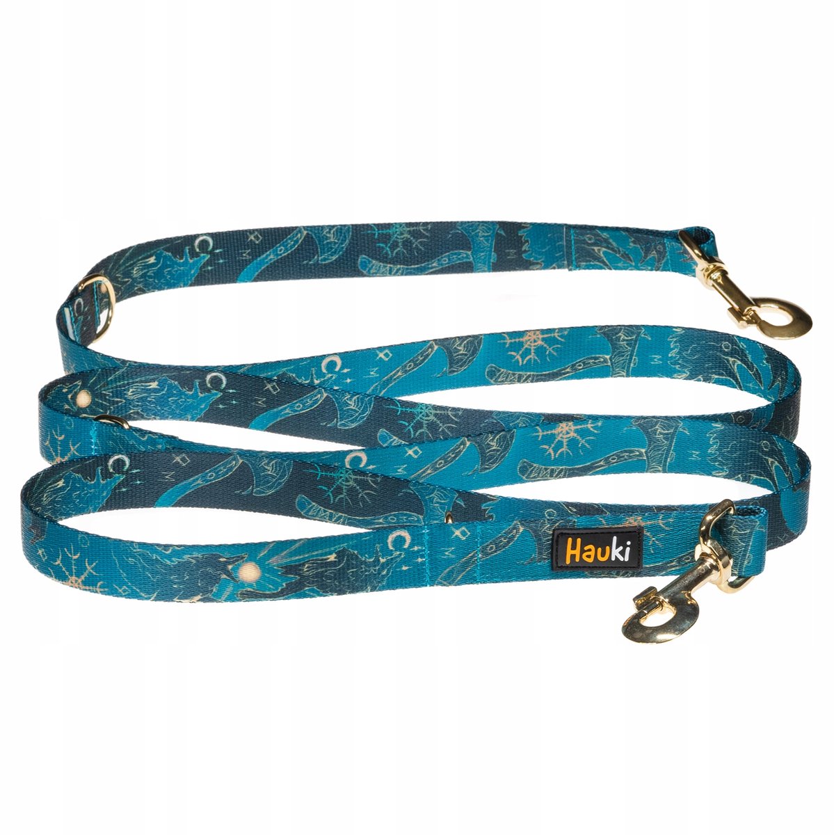 Verstelbare Hondensnoer Blauw, Gouden Beslag, 300cm x 2cm