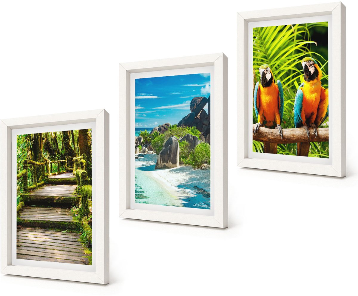 Coloray 3-Delige Schilderij Set - Tropisch bos met waterval en kleurrijke papegaaien - 20x30 - Wanddecoratie - Woonkamer Decoratie - Interieur Decoratie