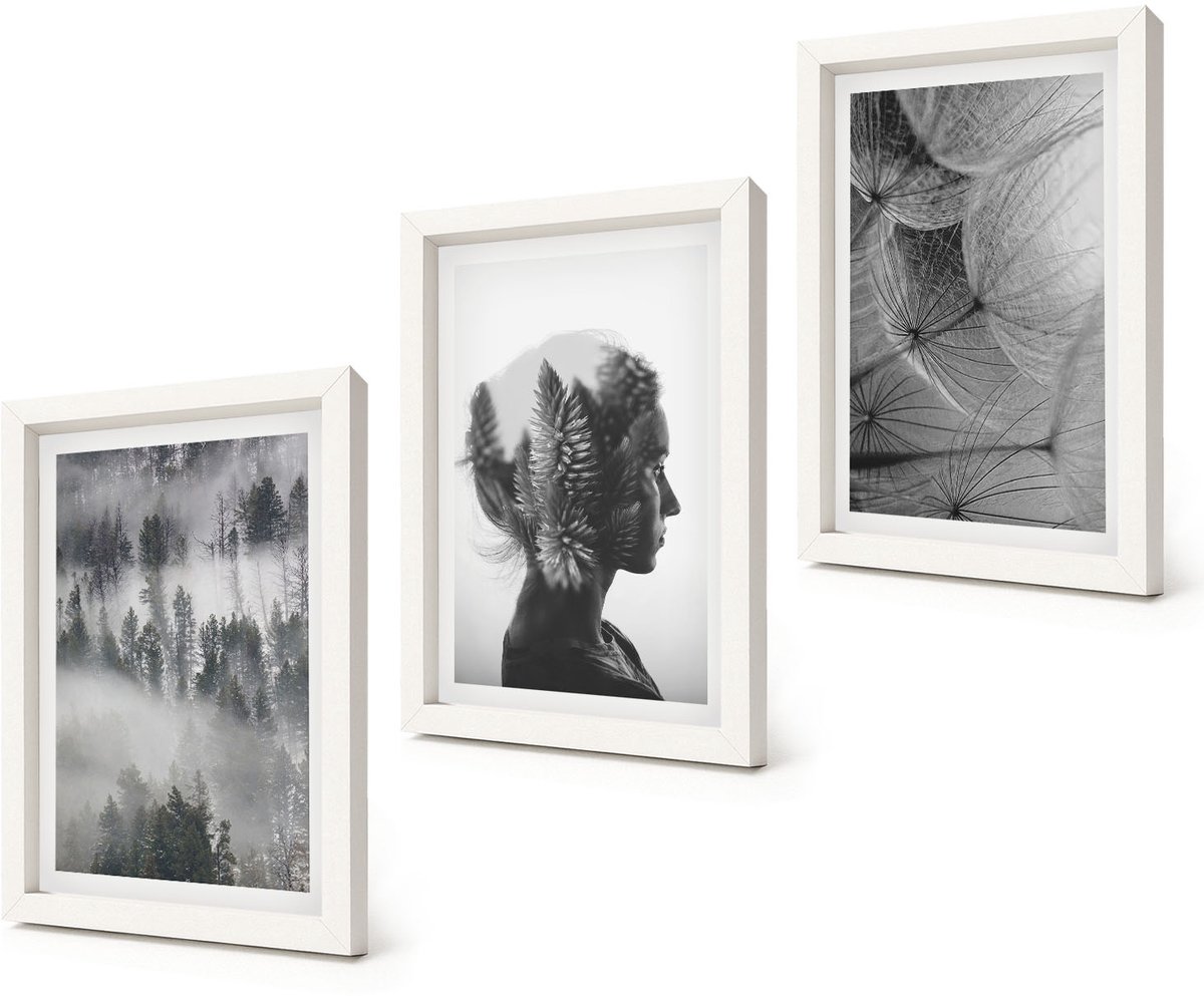 Coloray 3-Delige Schilderij Set - Bos in de mist: portret met bomen en een tere paardenbloem. - 20x30 - Decoratieve Muurdecoratie - Slaapkamer - Moderne Wanddecoratie