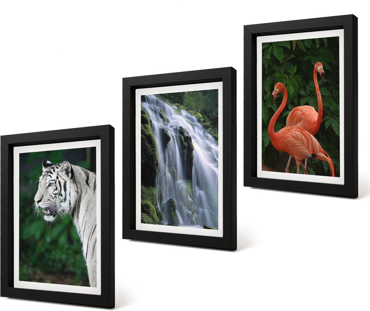 Coloray 4-Delige Schilderij Set - Tijgerwaterval en roze flamingo's in de natuur - 20 x 30 cm - Decoratieve Muurdecoratie - Slaapkamer - Decoratieve Schilderijen