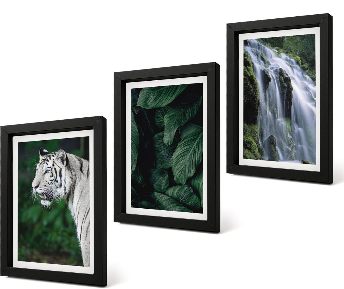Coloray 4-Delige Schilderij Set - Tijgerwitte bladeren en een waterval in een natuurlijke omgeving - 20 x 30 cm - Decoratieve Schilderijen - Woonkamer - Interieur - Woonkamer Decoratie