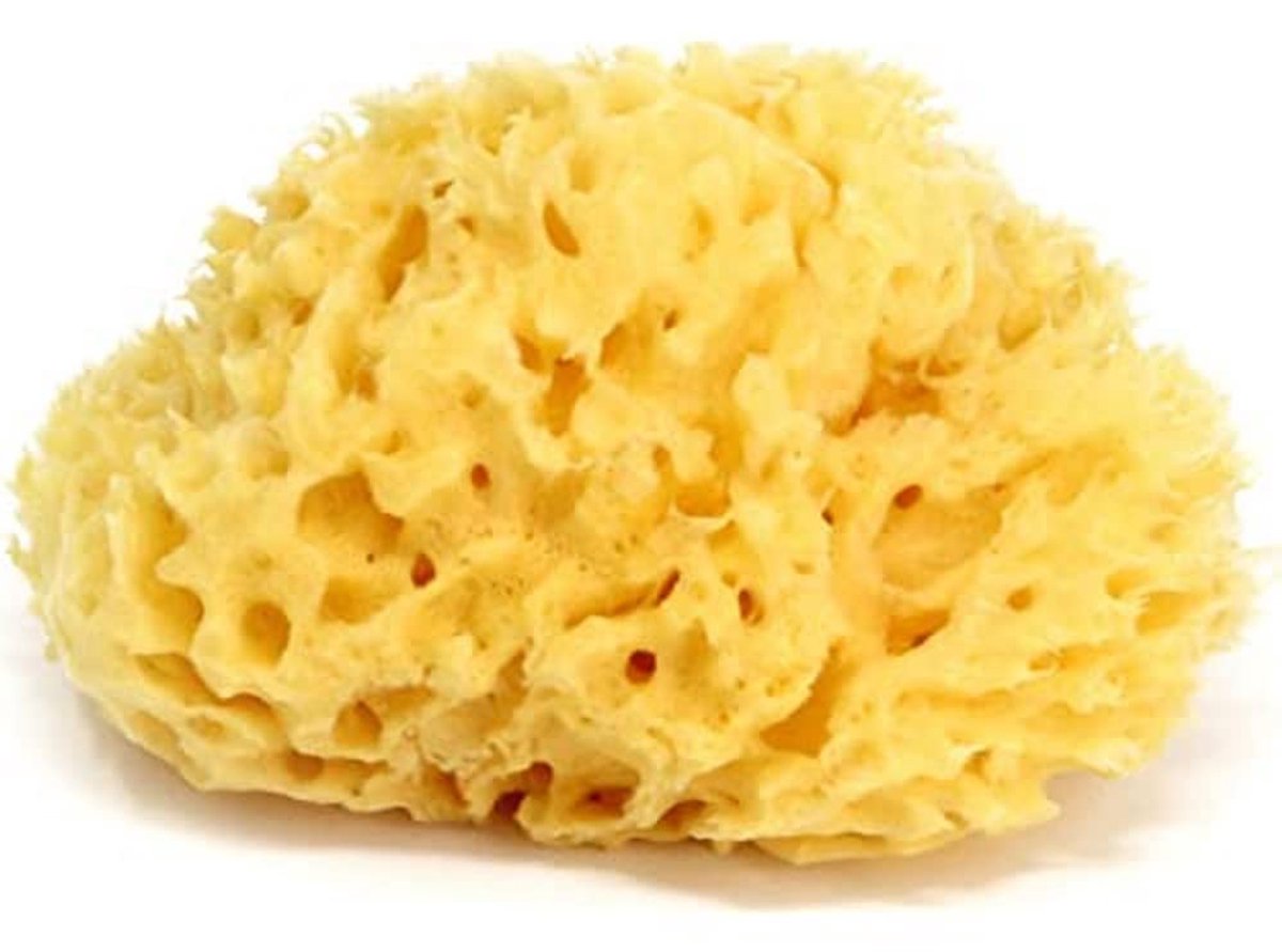 Honeycomb spons- Natuurlijke spons uit de Middellandse Zee voor baby's badje, ultra zacht, ideaal voor de delicate huid - maat 10