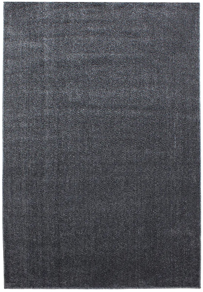 Dutch XXL Laagpolig Vloerkleed | Tapijt | Ata | Uni | Grijs | 240x340 cm