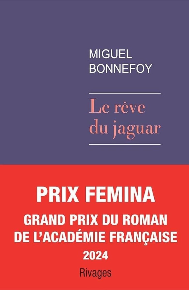 Le rêve du jaguar - Boek