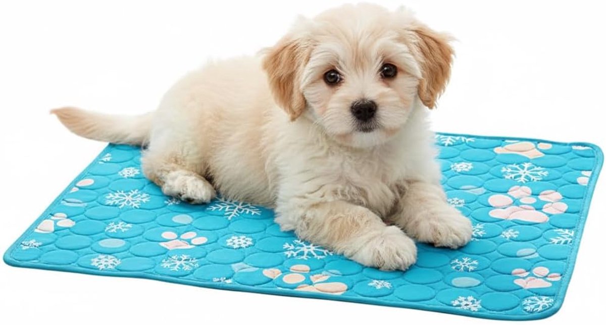 Grote Honden Koelmat 2026 Nieuw Model - Zelfkoelend Voor Honden en Katten - Draagbaar en Wasbaar - Zomer Mat Voor Binnen, Buiten, Hok, Krat en Auto - XS - Blauw