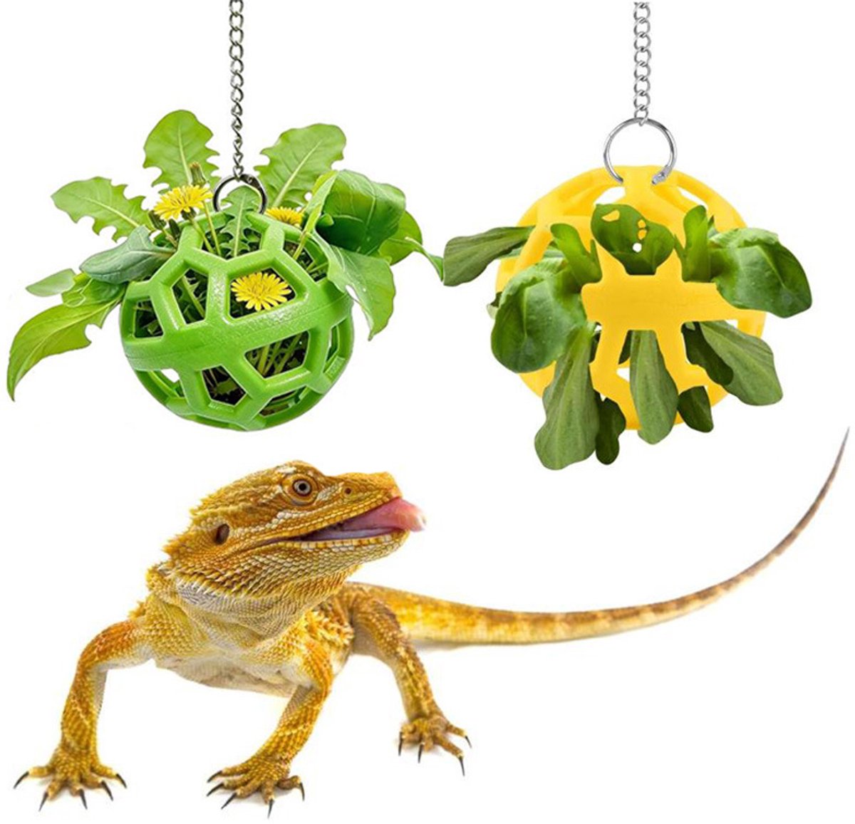 Hangende voerbal set van 2 stuks - reptielen voerbal met 2 losse 30cm hangkettingen - plastic voerbal voor baardagame hagedis gekko hamster chameleon - verrijking speelvoerhouder terrarium accessoire
