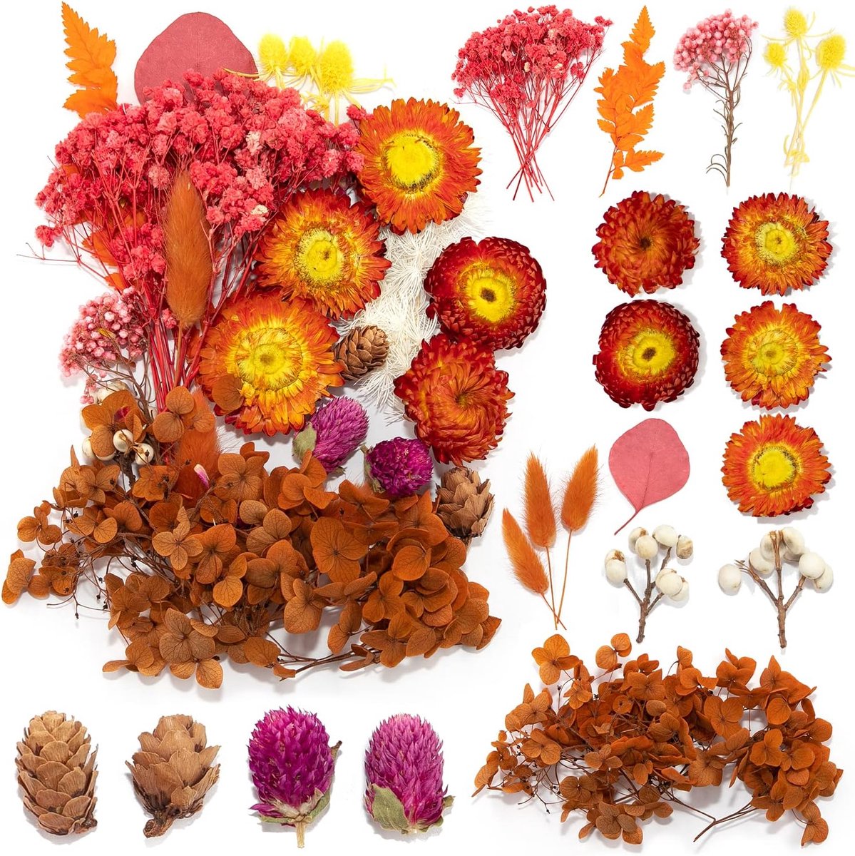 Gedroogde bloemen, natuurlijke gemengde bloemen, doe-het-zelf natuurlijke gedroogde bloemen, set voor kunst, knutselen, doe-het-zelf, hars, scrapbooking, handwerk, kaarten maken